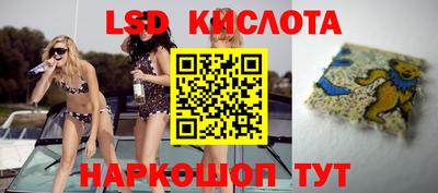 гашик Жуковский
